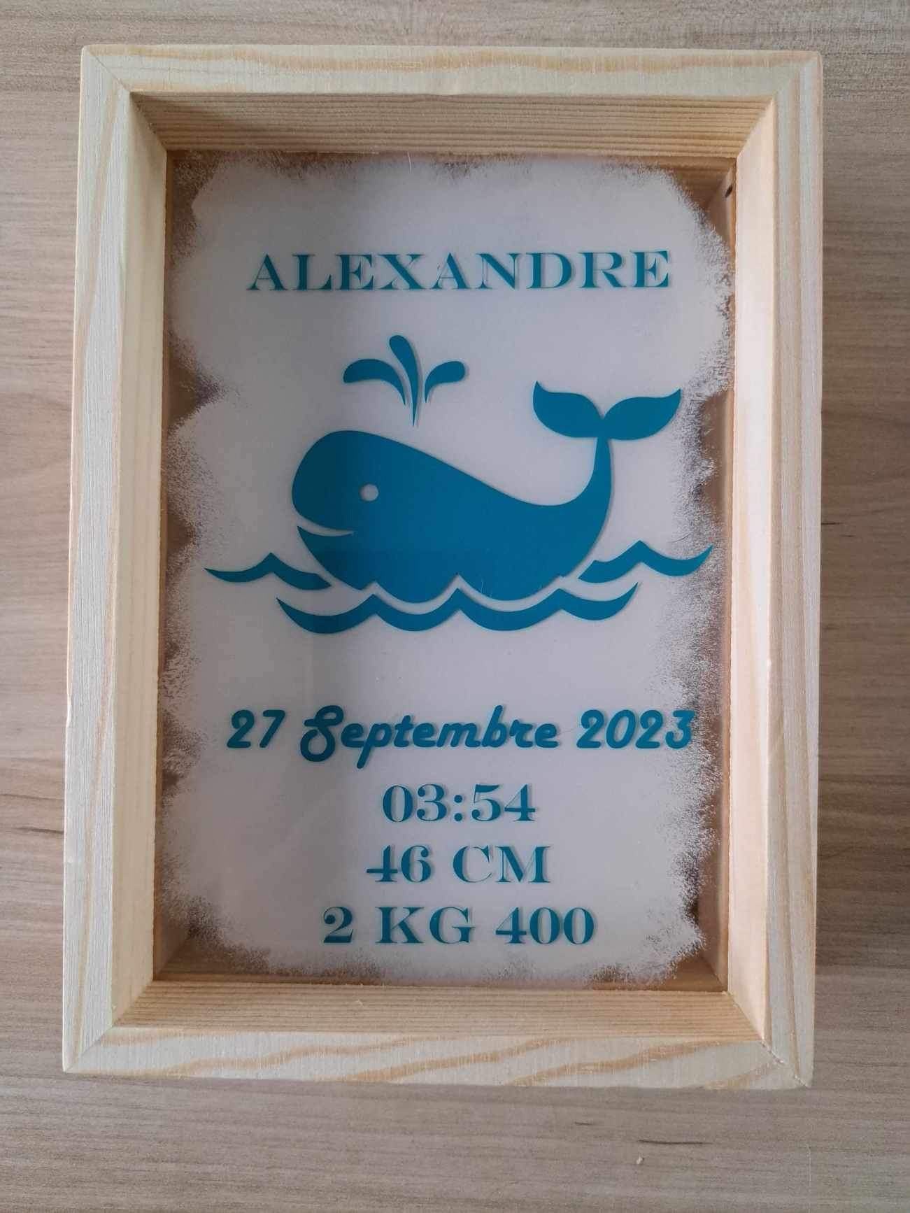 Plaque de naissance